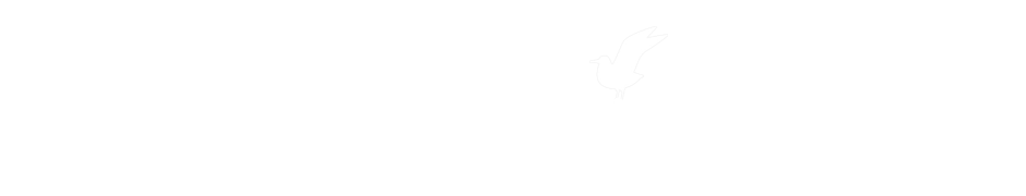  http://www.tuusulanjarvi.org 